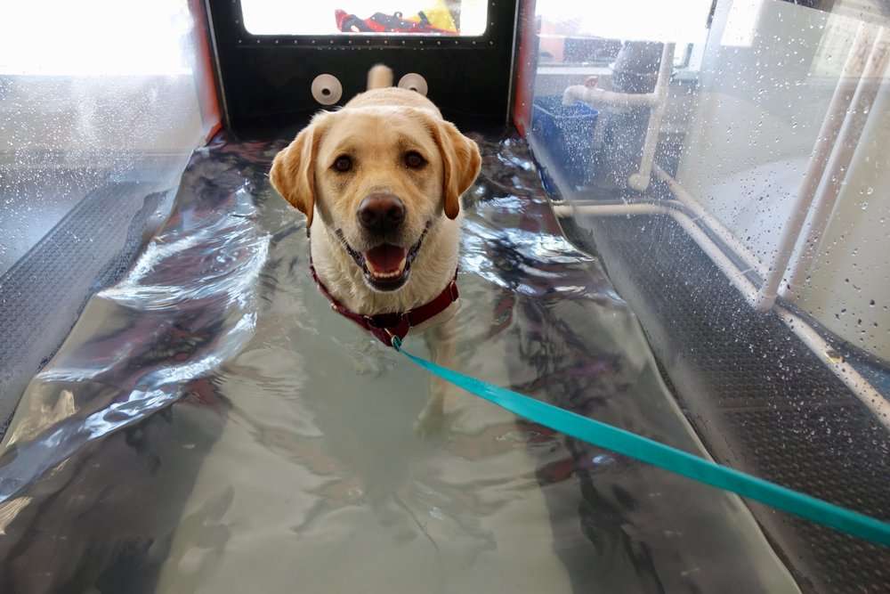 Hydrotherapy for treating osteoarthritis 