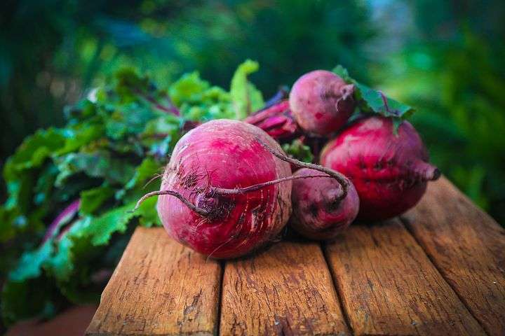 Beetroot for hypothyroidism in dogs