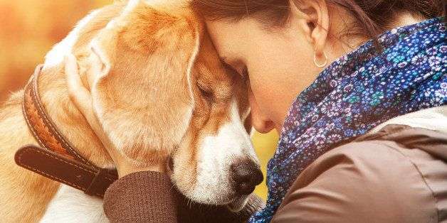 sleeping with dogs helps in reducing depression