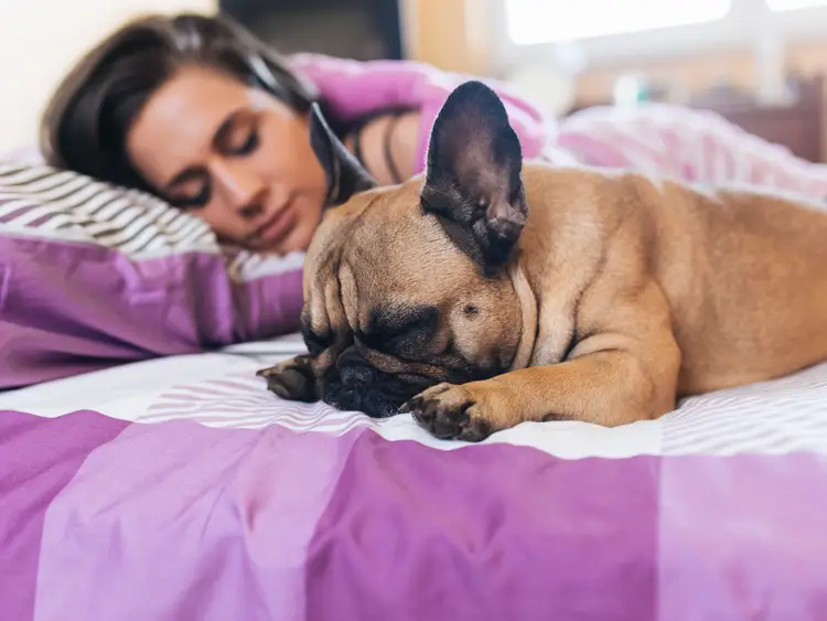 Women sleeping peacefully with a dog