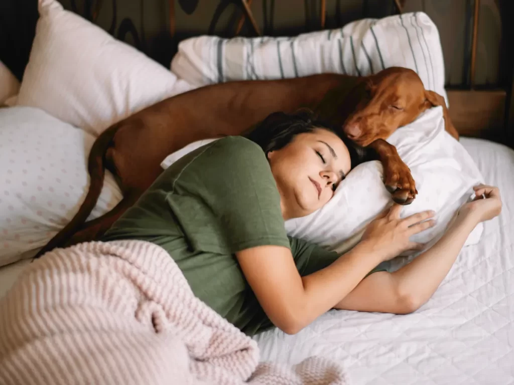  The owner having sound sleep with their pets