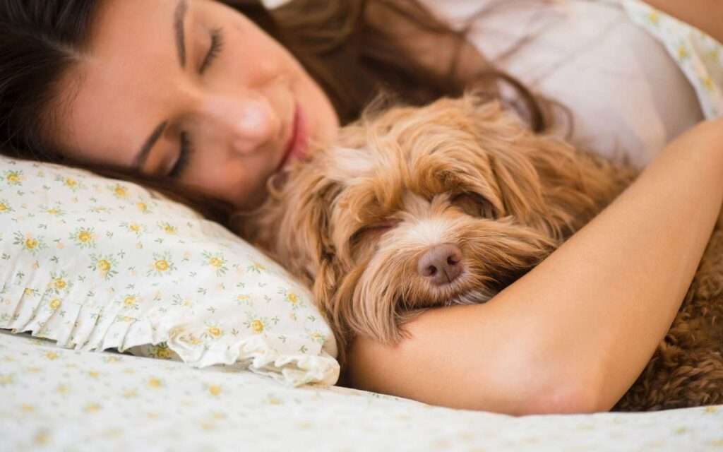 Having quality sleep with pet