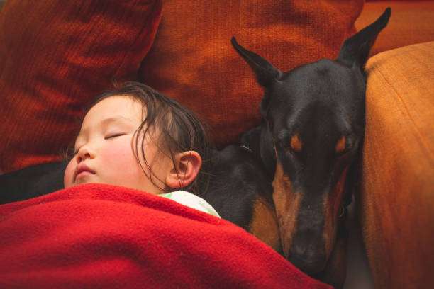 benefits of sleeping with dogs