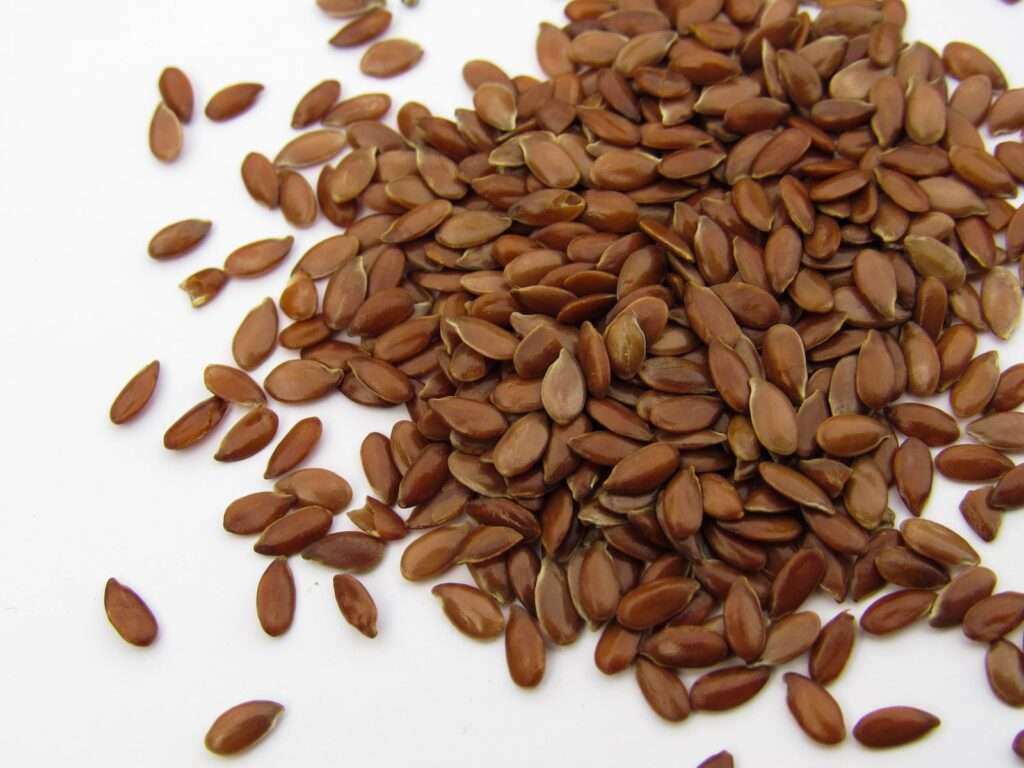 flaxseed for eczema in dogs 