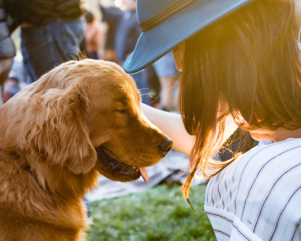 grief of losing a pet